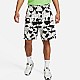 Шорти Nike DX0803-060