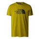 Футболка The North Face MS/S Easy Tee Sulphur Moss
