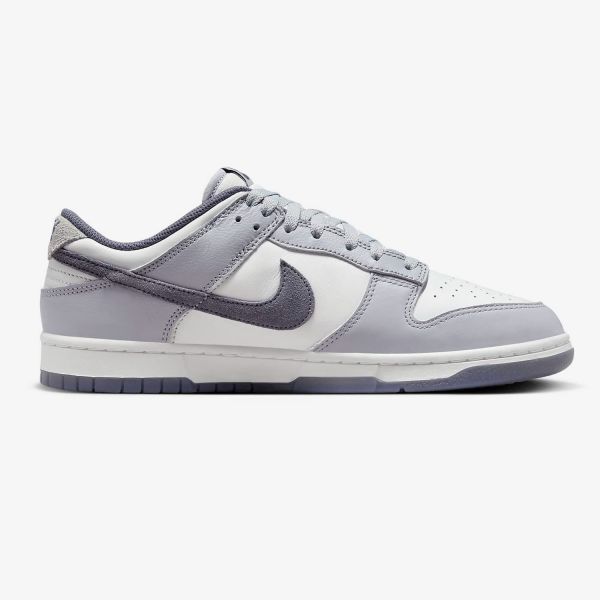 Кеды Nike Dunk Low Retro FJ4188 100