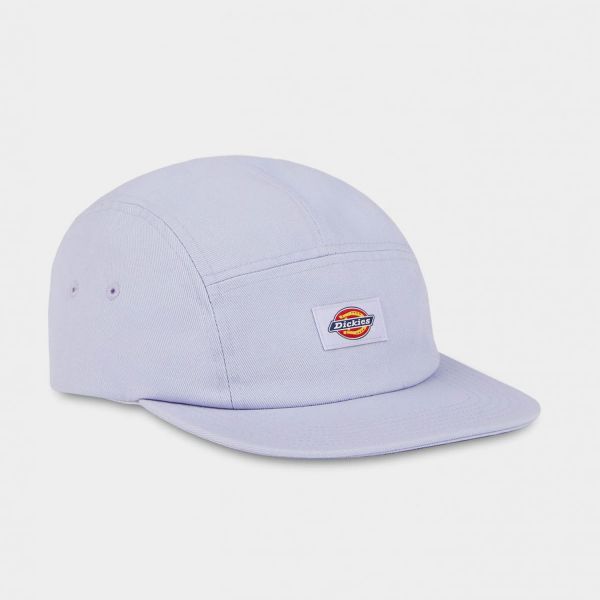 Кепка Dickies DK0A4XC1H181