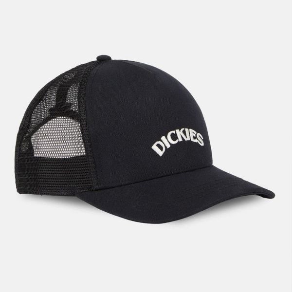 Кепка Dickies DK0A4YPGBLK1