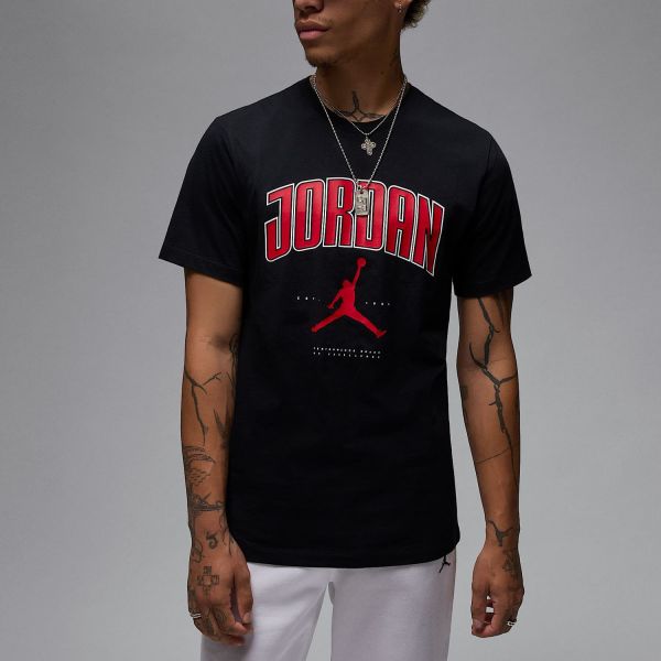 Футболка Nike Jordan HQ0009-010