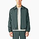 Овершорт Dickies JTR080LN