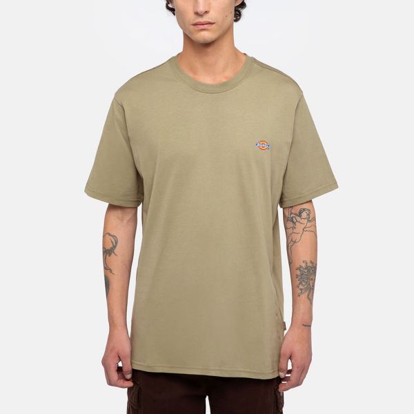 Футболка Dickies WSR64SS0