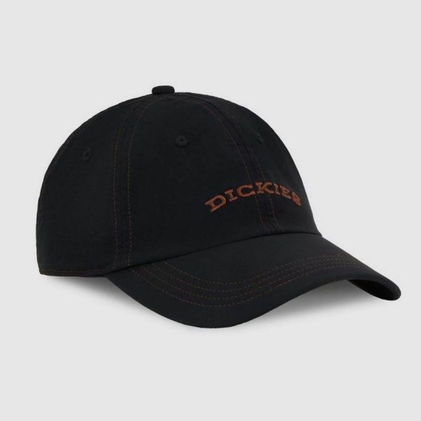 Кепка Dickies DK0A4Z6PKBLK
