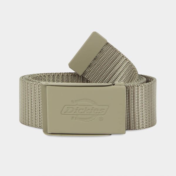 Ремінь Dickies DK0A4Z3K0IP1