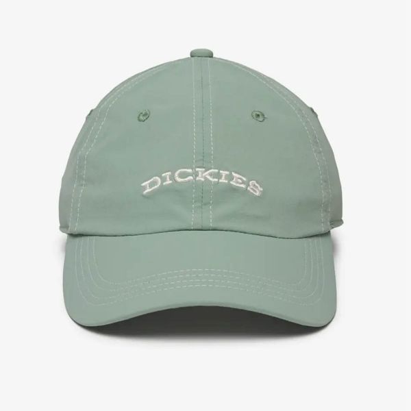 Кепка Dickies DK0A4Z6PK36