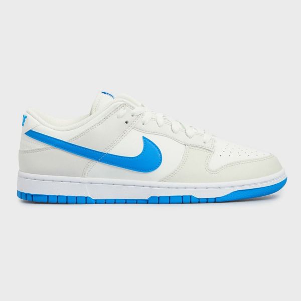 Кеды Nike Dunk Low Retro DV0831 108