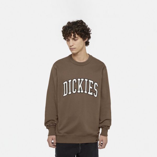 Світшот Dickies DK0A4XABJ961