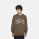 Світшот Dickies DK0A4XABJ961