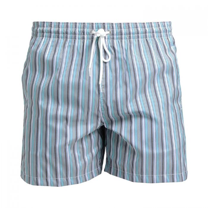 Плавательные шорты Fiorio rd13 bl stripe