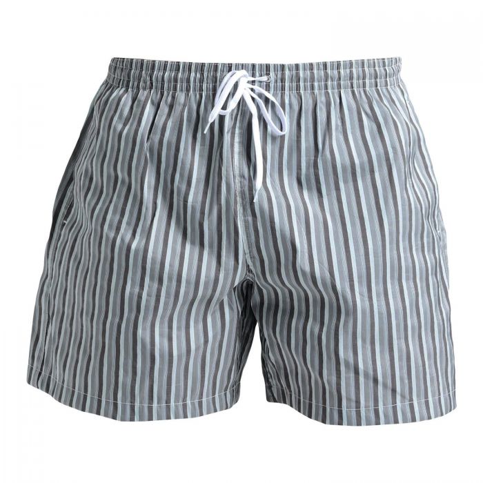 Плавальні шорти Fiorio rd13 grey stripe