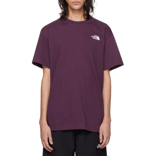 Футболка The North Face NF0A84GD1NI1 M SS Evolution BX Fit T