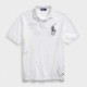 Поло POLO Ralph Lauren 710870774002