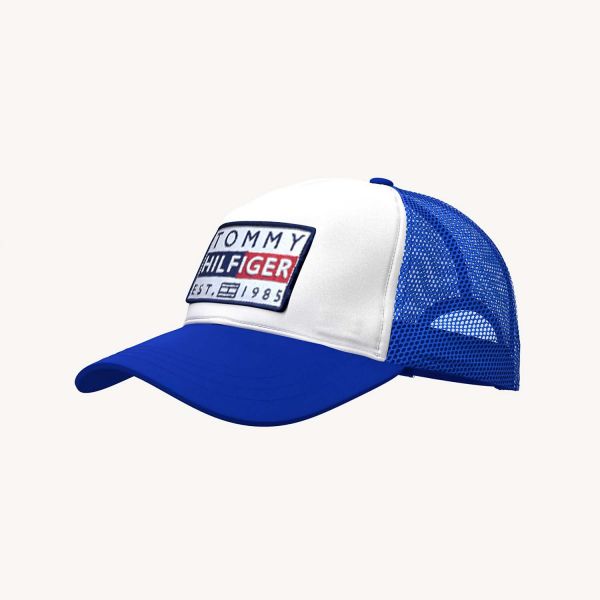Кепка Tommy Hilfiger 69J3912 110