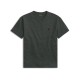 Футболка POLO Ralph Lauren 710671452144