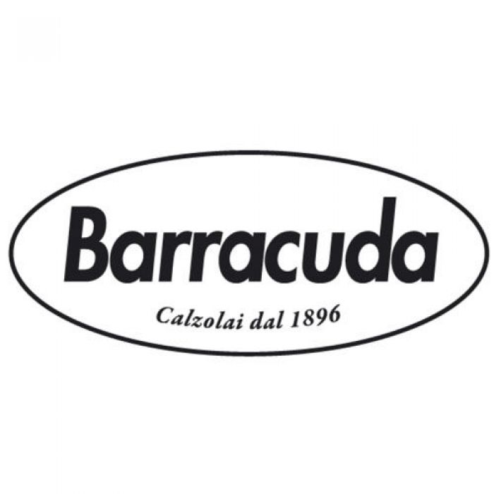 Бренд Barracuda