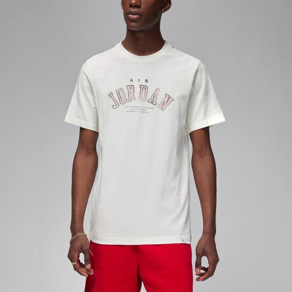 Футболка Nike Jordan FN5964-133