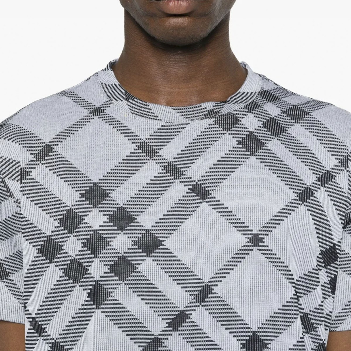 Футболка Burberry 8088056 1002