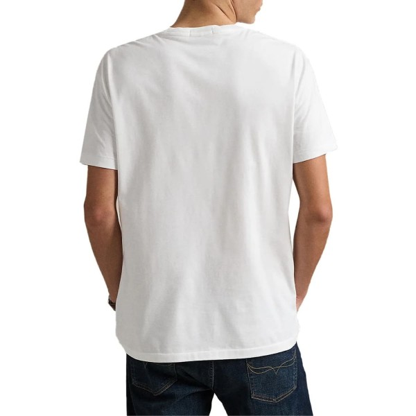 Футболка POLO Ralph Lauren 710974584001
