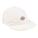 Кепка Dickies DK0A4YPJF90