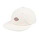 Кепка Dickies DK0A4YPJF90