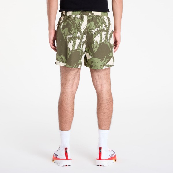 Шорти Nike ACG HV0595-229