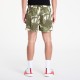 Шорты Nike ACG HV0595-229