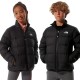 Дитячий парк The North Face Y Rev Andes JKT