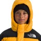 Дитячий пуховик The North Face Teen HMLYN Down Short Parka