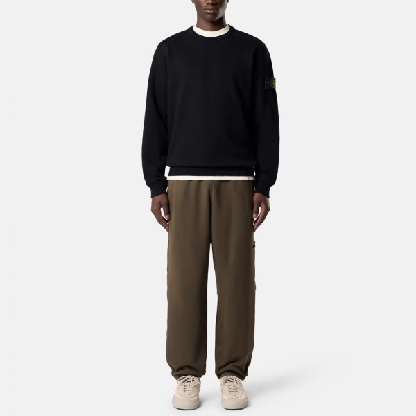 Світшот Stone Island 6100049 BRUSHED ORGANIC COTTON FLEECEL2S156100049S0A20 V0029
