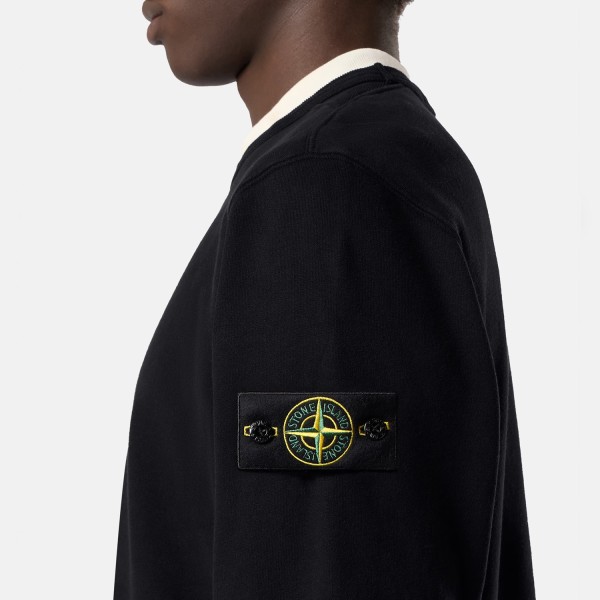 Світшот Stone Island 6100049 BRUSHED ORGANIC COTTON FLEECEL2S156100049S0A20 V0029