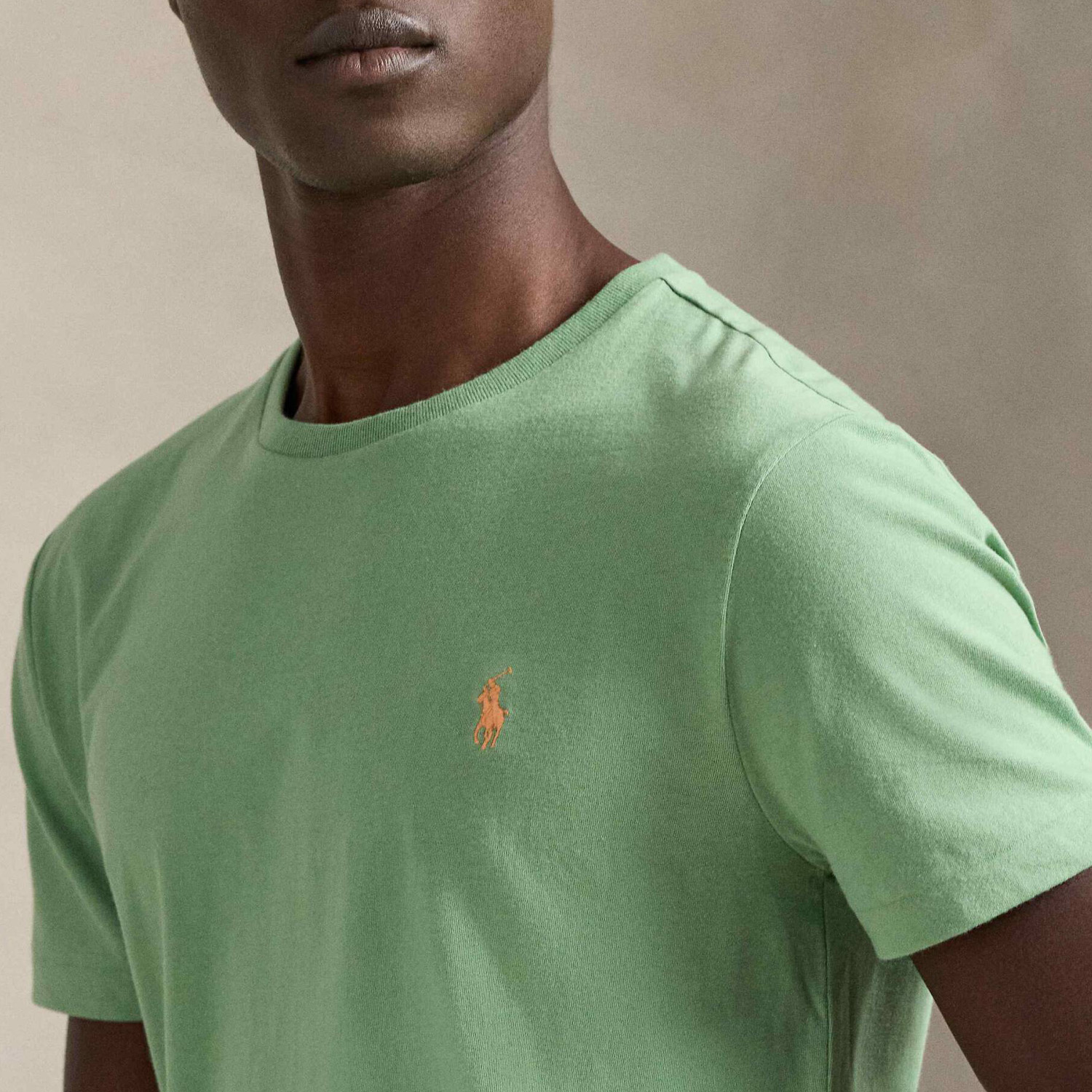 Футболка POLO Ralph Lauren 710671438456