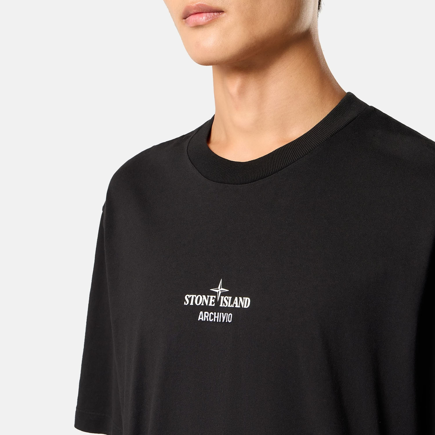 Футболка Stone Island 2100033 COTTON JERSEY L2S152100033S0091 V0029