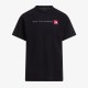 Футболка The North Face NSE Reg SS Tee-Graphi TNF Black