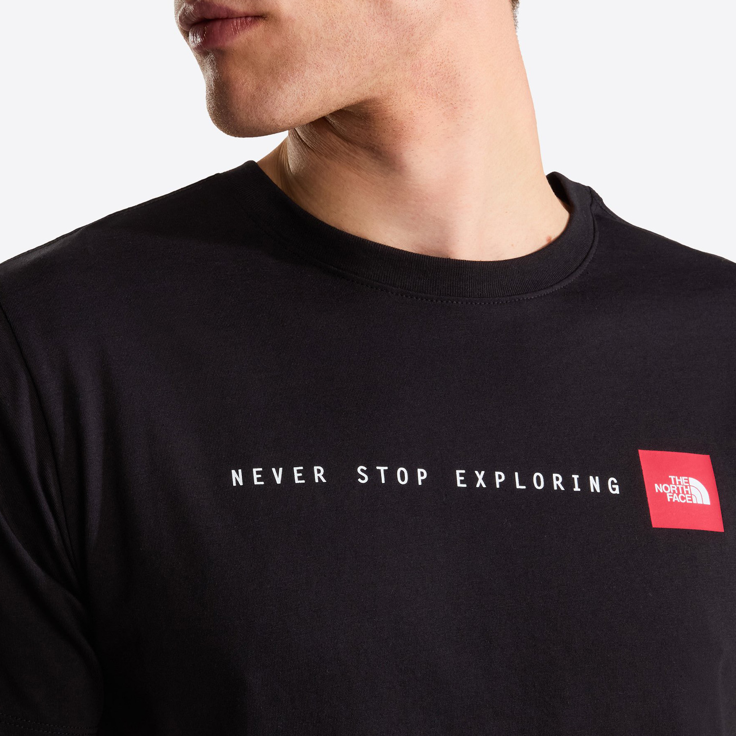 Футболка The North Face NSE Reg SS Tee-Graphi TNF Black