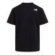Футболка The North Face NSE Reg SS Tee-Graphi TNF Black