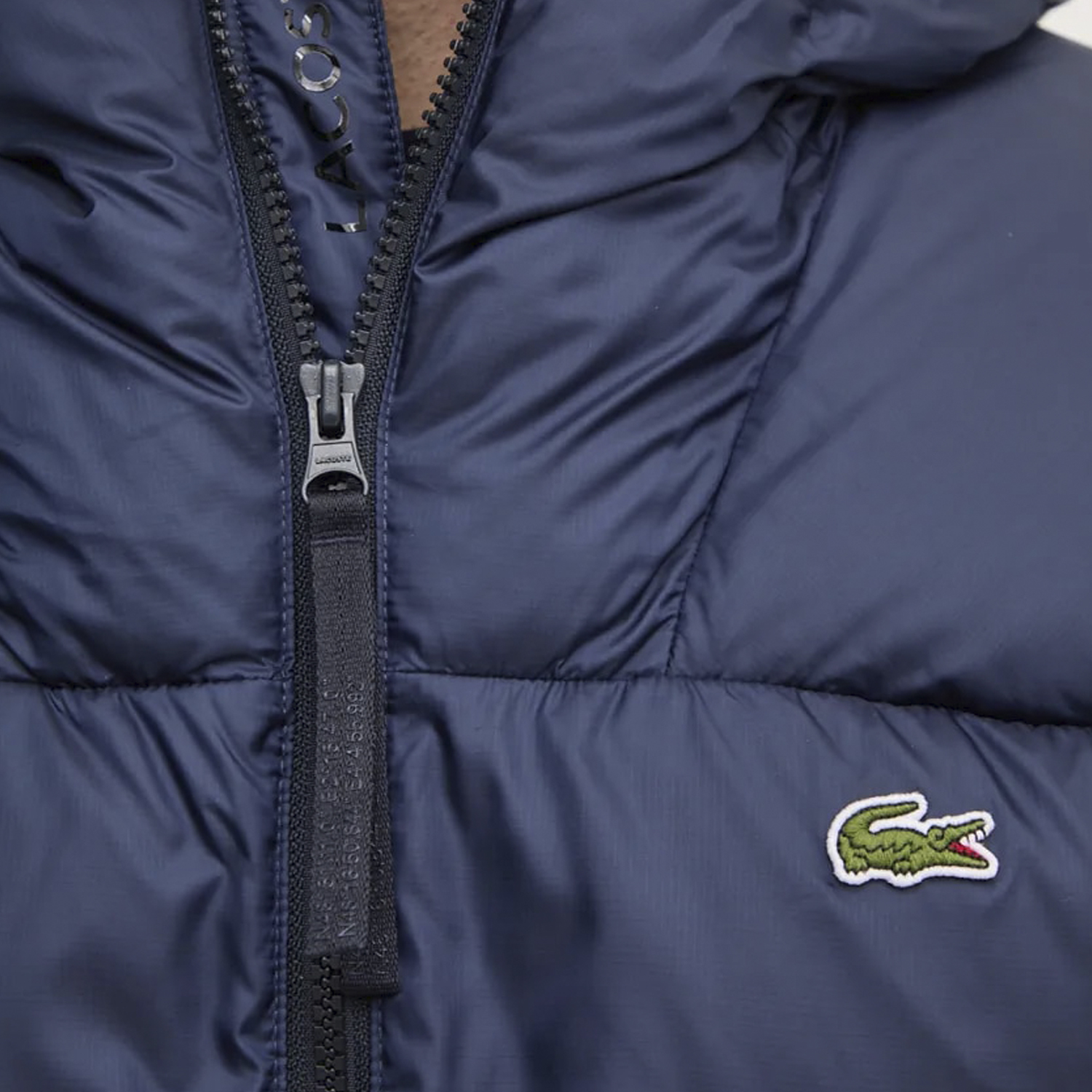 Чоловіча куртка Lacoste BH2905166