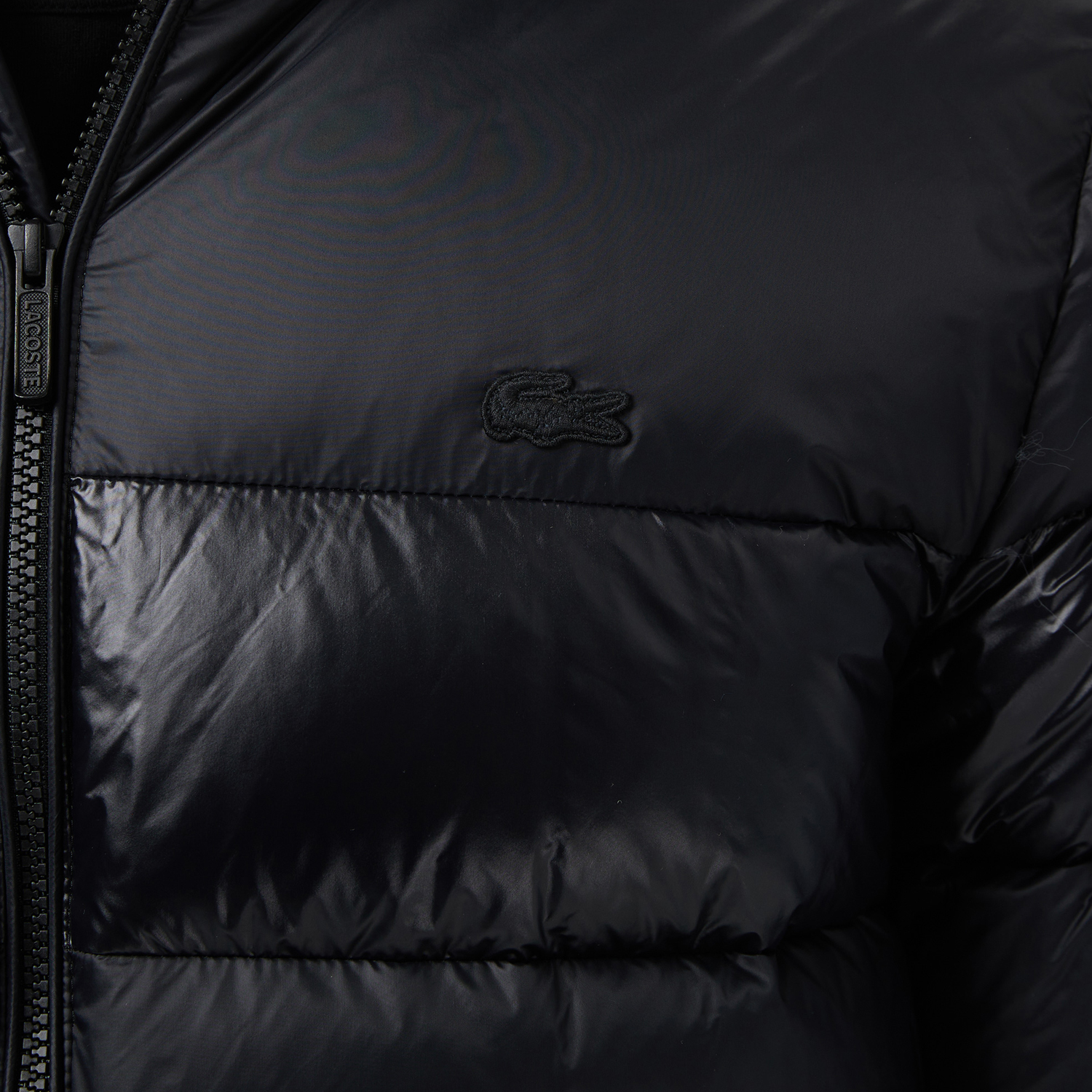Чоловіча куртка Lacoste BH2642031