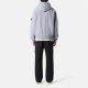 Чоловічий худий Stone Island 6100023 BRUSHED ORGANIC COTTON FLEECE L2S156100023S0A20 V0049