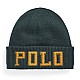 Шапка POLO Ralph Lauren 449891279003