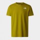 Футболка The North Face NF0A2TX2I0N1