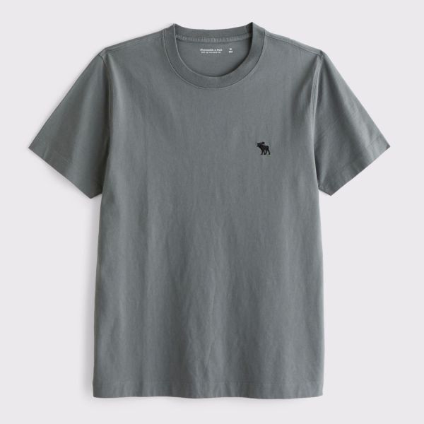 Футболка Abercrombie & Fitch 124-609-00460-308