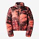 Куртка The North Face NF0A7WU8987
