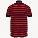 Поло Tommy Hilfiger 78E9893/079