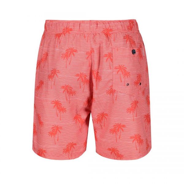 Плавательные шорты Ben Sherman Coral DS01.