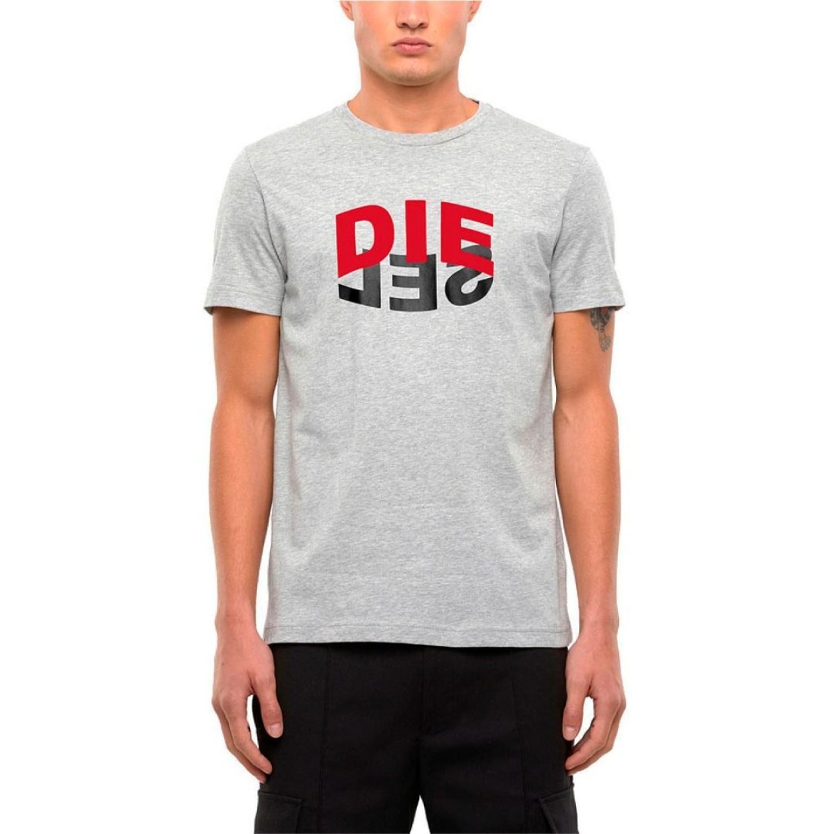 Футболка Diesel T-Diego-N22 T-shirt grey