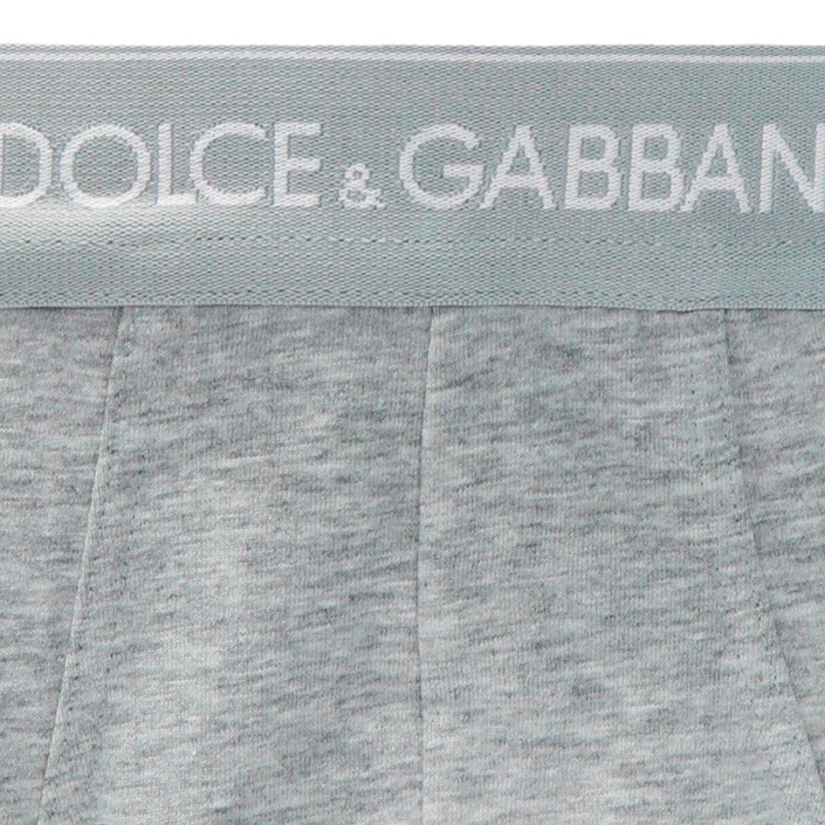 Брифи Dolce&Gabbana N9A03J grey