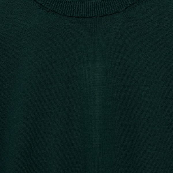 Свитер Roberto Collina RA10401 Verde.
