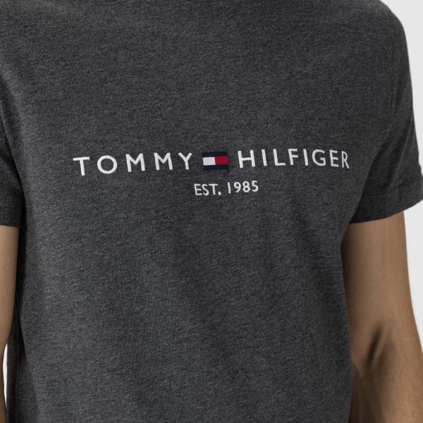 Футболка Tommy Hilfiger MW0MW11797 P9X.